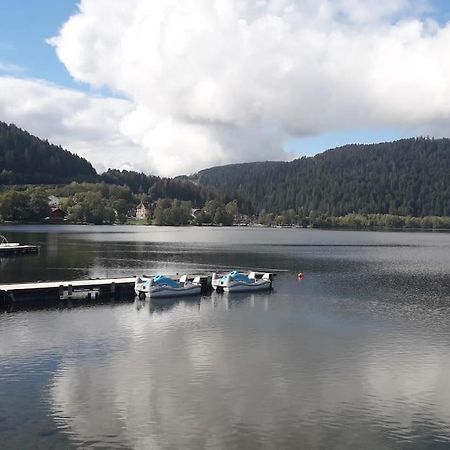 Chalet 3 Etoiles A Gerardmer. Eksteriør billede