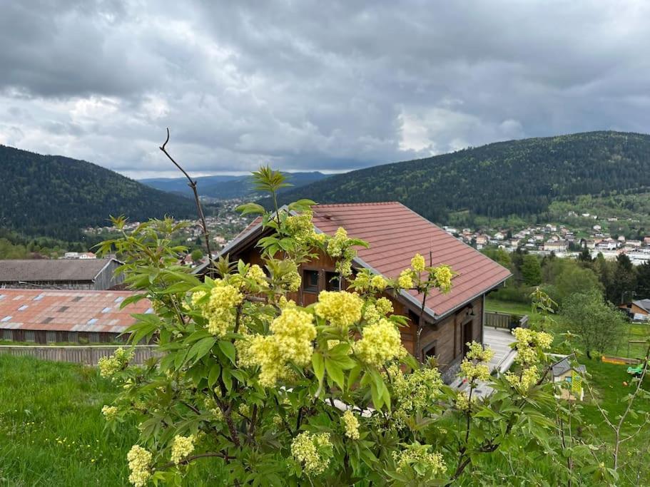 Chalet 3 Etoiles A Gerardmer. Eksteriør billede