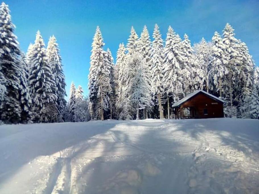 Chalet 3 Etoiles A Gerardmer. Eksteriør billede