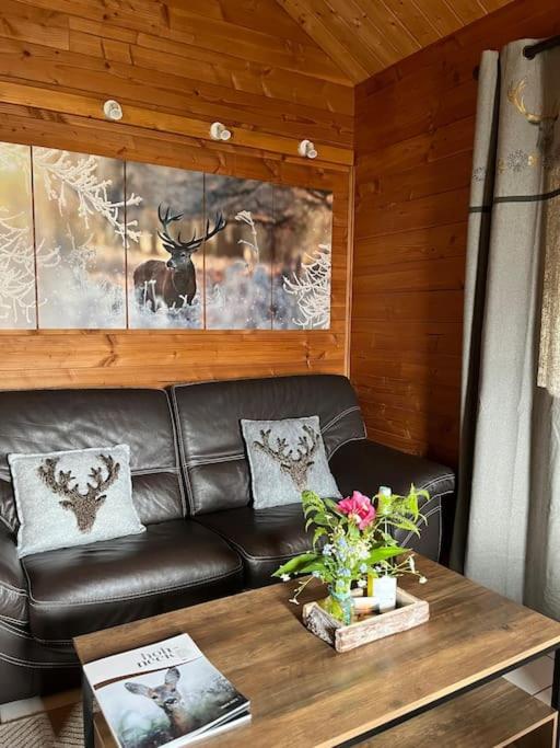 Chalet 3 Etoiles A Gerardmer. Eksteriør billede