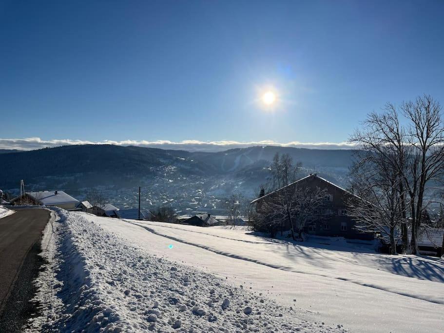 Chalet 3 Etoiles A Gerardmer. Eksteriør billede