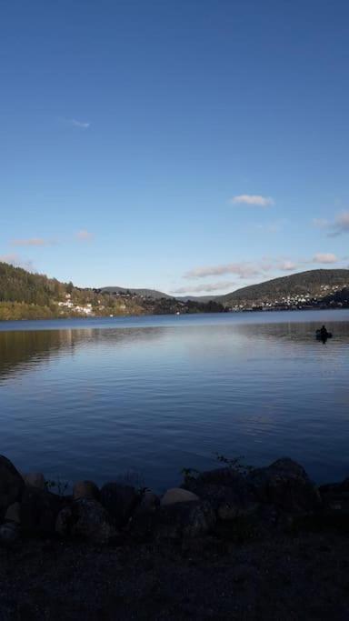 Chalet 3 Etoiles A Gerardmer. Eksteriør billede